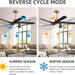 64 in. 5 Blade Remote Control Fan with Light, Nice Ceiling Fans, LED Ceiling Fan for Kitchen Bedroom Living Room, Matte Black Brass Ceiling Fan-3-ErisView