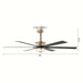 65 in. 6-Blade Large Industrial LED Ceiling Fan, Downrod Mount Reversible Ceiling Fan with LED Light Remote Control-ErisView