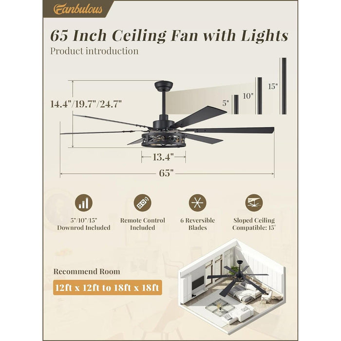 65 in. Farmhouse Caged Ceiling Fan with Lights Remote, Black Industrial Reversible Quiet Ceiling Fans, Large Ceiling Fan for Living Room Bedroom-5-ErisView