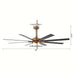 65 in. Large 8-Blade Industrial Living Room Ceiling Fan, Black Downrod Mount Ceiling Fan with LED Light Kit and Remote Control for Bedroom-ErisView