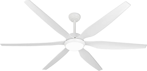 65 in. Outdoor LED Ceiling Fan with Light and Remote, Quiet Ceiling Fans with Lights, Big Farmhouse Outdoor Patio Ceiling Fan-1-ErisView