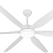 65 in. Outdoor LED Ceiling Fan with Light and Remote, Quiet Ceiling Fans with Lights, Big Farmhouse Outdoor Patio Ceiling Fan-1-ErisView