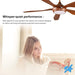 65 in. Smart Large Outdoor Fan, Remote Ceiling Fan with Light, Farmhouse Walnut Reversible DC Ceiling Fan, Propeller Ceiling Fan for Patio Living Room-40-ErisView