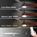 65 in. Smart Large Outdoor Fan, Remote Ceiling Fan with Light, Farmhouse Walnut Reversible DC Ceiling Fan, Propeller Ceiling Fan for Patio Living Room-45-ErisView