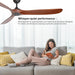 65 in. Smart Large Outdoor Fan, Remote Ceiling Fan with Light, Farmhouse Walnut Reversible DC Ceiling Fan, Propeller Ceiling Fan for Patio Living Room-57-ErisView
