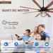 66 in. Remote Control Ceiling Fan and Light, Farmhouse Reversible Quiet Ceiling Fans for Living Room Kitchen Patio-3-ErisView