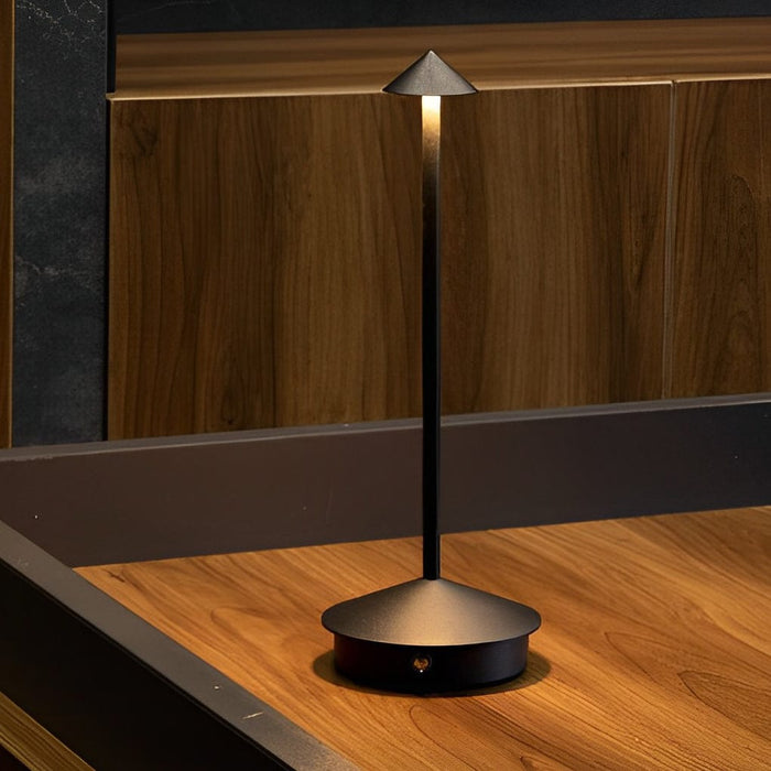 11.41 In. Portable USB Pina Table Lamp Touch Dimmable LED Cordless Night Light