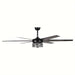 70 in. Large Black Modern Downrod Mount Ceiling Fan with Light Kit Remote Control Reversible Blades for Living Room-ErisView