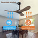 72 in. Ceiling Fans without Lights, Wood Remote Control Fan, Reversible Modern Ceiling Fan for Living Room Bedroom Kitchen-22-ErisView