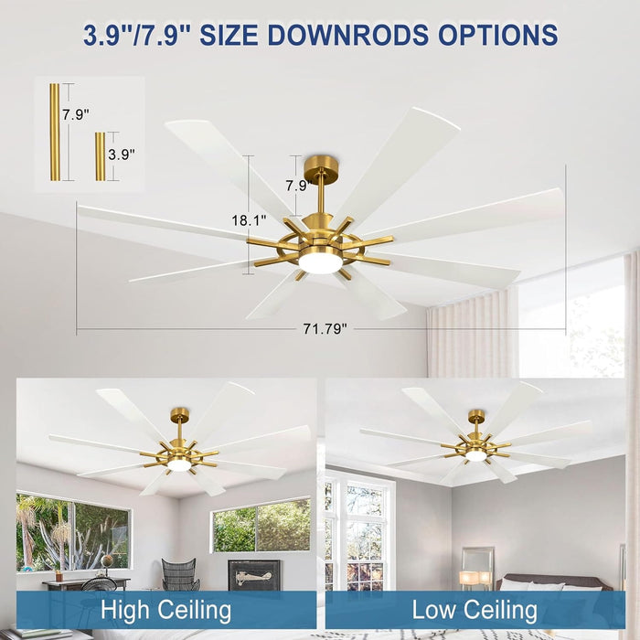 72 in. Large Outdoor Ceiling Fans with Lights and Remote, Black Large Modern Ceiling Fan, Silent Ceiling Fan for Living Room Bedroom Patio Hall Office-30-ErisView