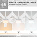 84 in. Black Huge Ceiling Fan with Light, Reversible Fan for Summer Winter, Modern Ceiling Fan for Living Room Restaurant Home Commercial-25-ErisView