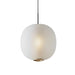 Dimmable Modern Globe Glass Lantern LED Pendant Lights