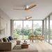 Modern Wing-inspired Wood 3-Blade DC Motor Reverse Ceiling Fan
