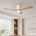 Modern Wood Ceiling Fan Light 6-Speed DC Motor Full-Spectrum