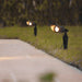 Adjustable Outdoor Landscape Spotlights with IP54 Waterproof Aluminum Body for Garden, Path, Lawn, Patio, and Driveway, High Color Rendering LED Lights-ErisView-14