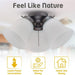 Antique Ceiling Fan Light Fixture with Ribbed Glass Shades, Energy Saving Ceiling Fans, Low Profile Cluster for Bedroom Living Room, Brass Ceiling Fan-2-ErisView
