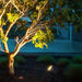 Bright IP65 Waterproof Outdoor Tree Spotlight with High Color Rendering LED for Charming Courtyard and Landscape Lighting, Insect and Dust Proof-ErisView-5