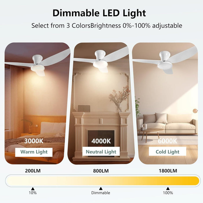 Dimmable Quiet Remote Control Ceiling Fan and Light APP, Black Ceiling Fan for Bedroom Living Room Kitchen Dining Room-10-ErisView