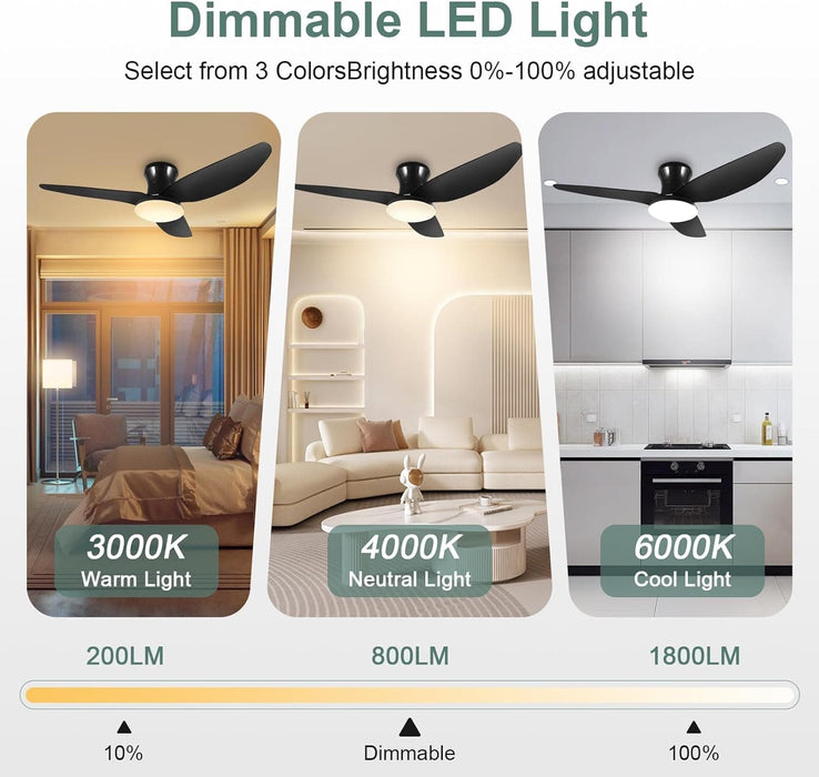 Dimmable Quiet Remote Control Ceiling Fan and Light APP, Black Ceiling Fan for Bedroom Living Room Kitchen Dining Room-4-ErisView