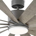 Flower Ceiling Fan, Silent Ceiling Fan with Light, Cooling Ceiling Fan, Best Smart Fan-17-ErisView