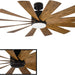 Flower Ceiling Fan, Silent Ceiling Fan with Light, Cooling Ceiling Fan, Best Smart Fan-22-ErisView