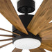 Flower Ceiling Fan, Silent Ceiling Fan with Light, Cooling Ceiling Fan, Best Smart Fan-24-ErisView