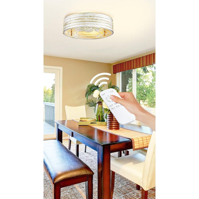 Indoor Cage Ceiling Fan with Dimmable Light and Remote Control-3-ErisView