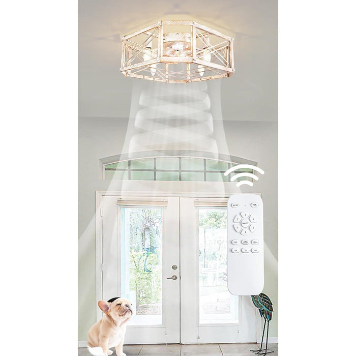 Indoor Cage Ceiling Fan with Dimmable Light and Remote Control-8-ErisView