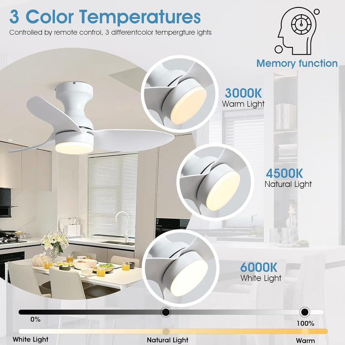 Indoor Outdoor Low Profile Flush Mount Ceiling Fan with Remote and APP Control, Small White Modern Ceiling Fan -3-ErisView