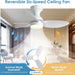 Indoor Outdoor Low Profile Flush Mount Ceiling Fan with Remote and APP Control, Small White Modern Ceiling Fan -4-ErisView