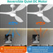 Large Airflow 52 in. Modern Ceiling Fan with Quite Reversible DC Ceiling Fan Temperature LED Light White, Ceiling Fans with Lights-5-ErisView
