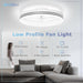 Low Ceiling Fan and Light, Modern Fan with Light, Flush Mount Bladeless Remote Control Ceiling Fans, LED Black Ceiling Fan with Light, Bedroom Ceiling Fan-14-ErisView