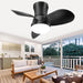 Low Profile Flush Mount Remote Control Ceiling Fan and Light, Small Black Indoor Modern Fan for Bedroom Kitchen, Outdoor Ceiling Fan for Patio Garage-1-ErisView