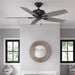 Matte Black Ceiling Fan, Mid Century Modern Ceiling Fan, Low Profile Ceiling Fan NO Light-4-ErisView