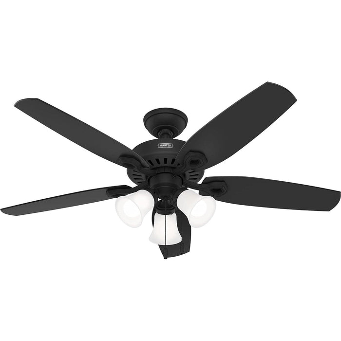 Matte Black Ceiling Fan with LED Light Kit and Pull Chain, Ceiling Hugger Ceiling Fan with Light-1-ErisView