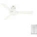 Matte White Ceiling Fan with Remote, Ceiling Hugger Ceiling Fans-14-ErisView