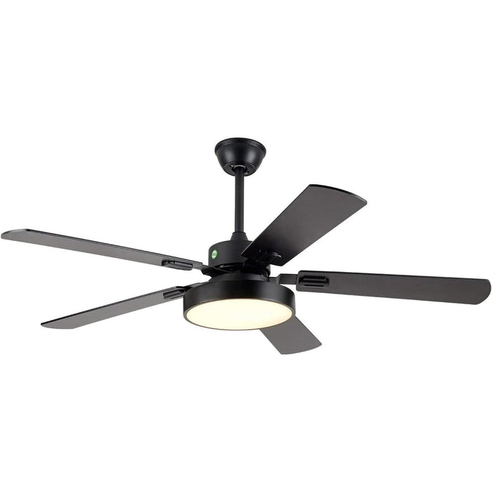Modern Remote Control Ceiling Fan with Light, Rustic Chandelier Fan with Light, Smart Bedroom Living Room Ceiling Fan with Light, Kitchen Ceiling Fans-1-ErisView