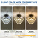 Modern Black Crystal Ceiling Light Semi Flush Mount Light Mini Chandelier Light Fixture for Hallway Bedroom Bathroom-Color Temperature-ErisView