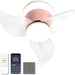 Pink Ceiling Fan with Lights and Remote APP Control, Modern Dimmable Noiseless Flush Mount Ceiling Fan for Kitchen Bedroom, Living Room Fan-1-ErisView