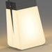 Portable Stainless Steel Outdoor Solar Light with Frosted Finish, High Color Rendering LED, Waterproof and Dustproof, Ideal for Landscape Lighting-ErisView-7