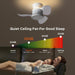 Quiet Ceiling Fans with Up and Down Lights, Small Reversible DC Ceiling Fan with Remote Control, Bedroom Ceiling Fans -6-ErisView