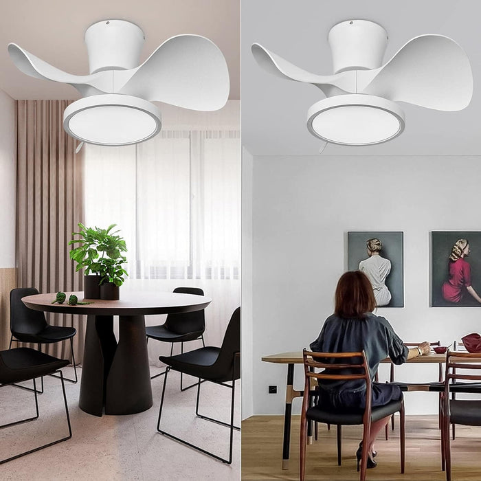 Quietest Fan For Sleeping with LED Light Remote Control for Kitchen Bedroom Dining Room Patio-8-ErisView