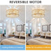 Shell Shaped Caged Ceiling Fan with Light and Remote Control, Flush Mount Enclosed Coastal Ceiling Fans, Boho Fandelier for Bedroom Living Room Kitchen-6-ErisView