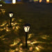 Waterproof and Rustproof Solar Pathway Light with Unique Glass Shade Design, Automatic Day-Night Sensor, Easy Assembly for Garden and Lawn-ErisView-5