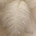 White Feather Table Lamp with Gold Metal Base, Dimmable Touch Table Lamp Nightstand Lamp, Desk Night Light Feather Detail ErisView