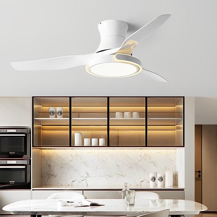Ceiling Fan with Lights - Remote Control, Dimmable, Reversible / Low Profile Integrated Design
