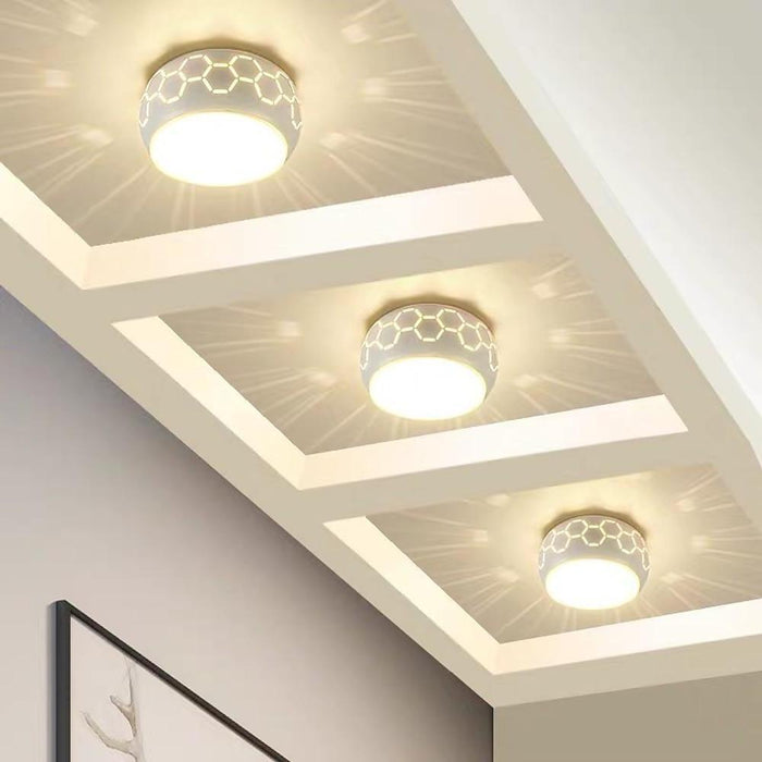 Globe Flush Mount Drum Light Hallway Entryway LED Ceiling Light
