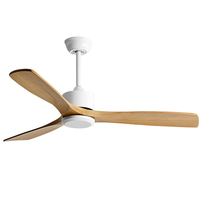 Frequency Conversion. Remote Control. Mute Ceiling Fan with Adjustable Wind Speed