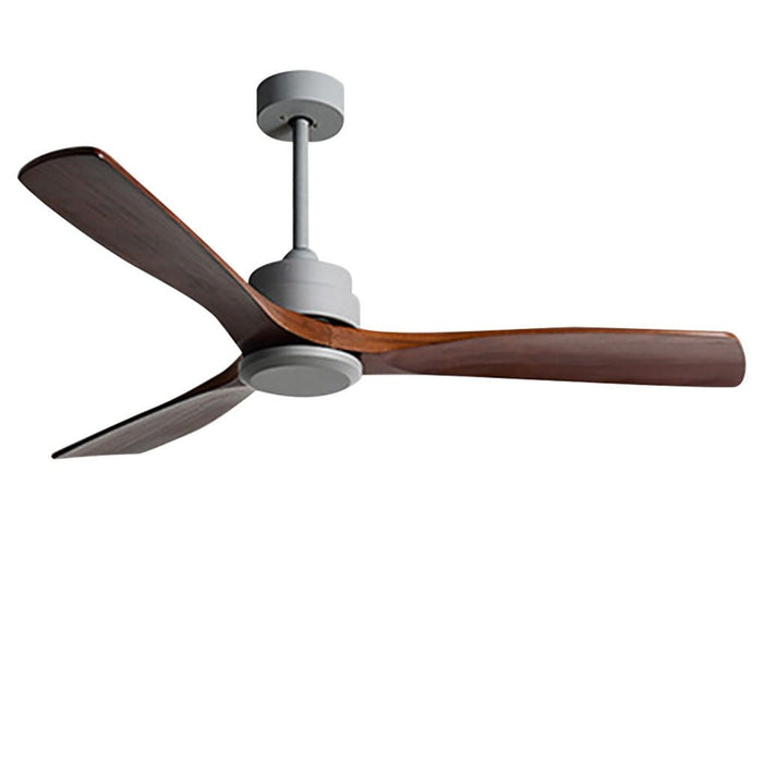 Frequency Conversion. Remote Control. Mute Ceiling Fan with Adjustable Wind Speed