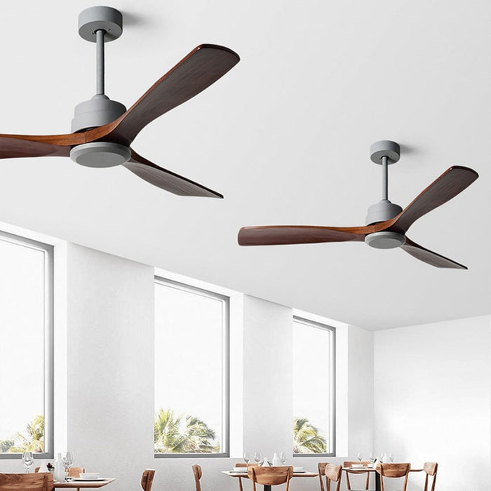 Frequency Conversion. Remote Control. Mute Ceiling Fan with Adjustable Wind Speed